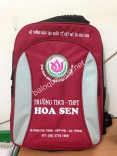 Balo trường THCS THPT Hoa Sen